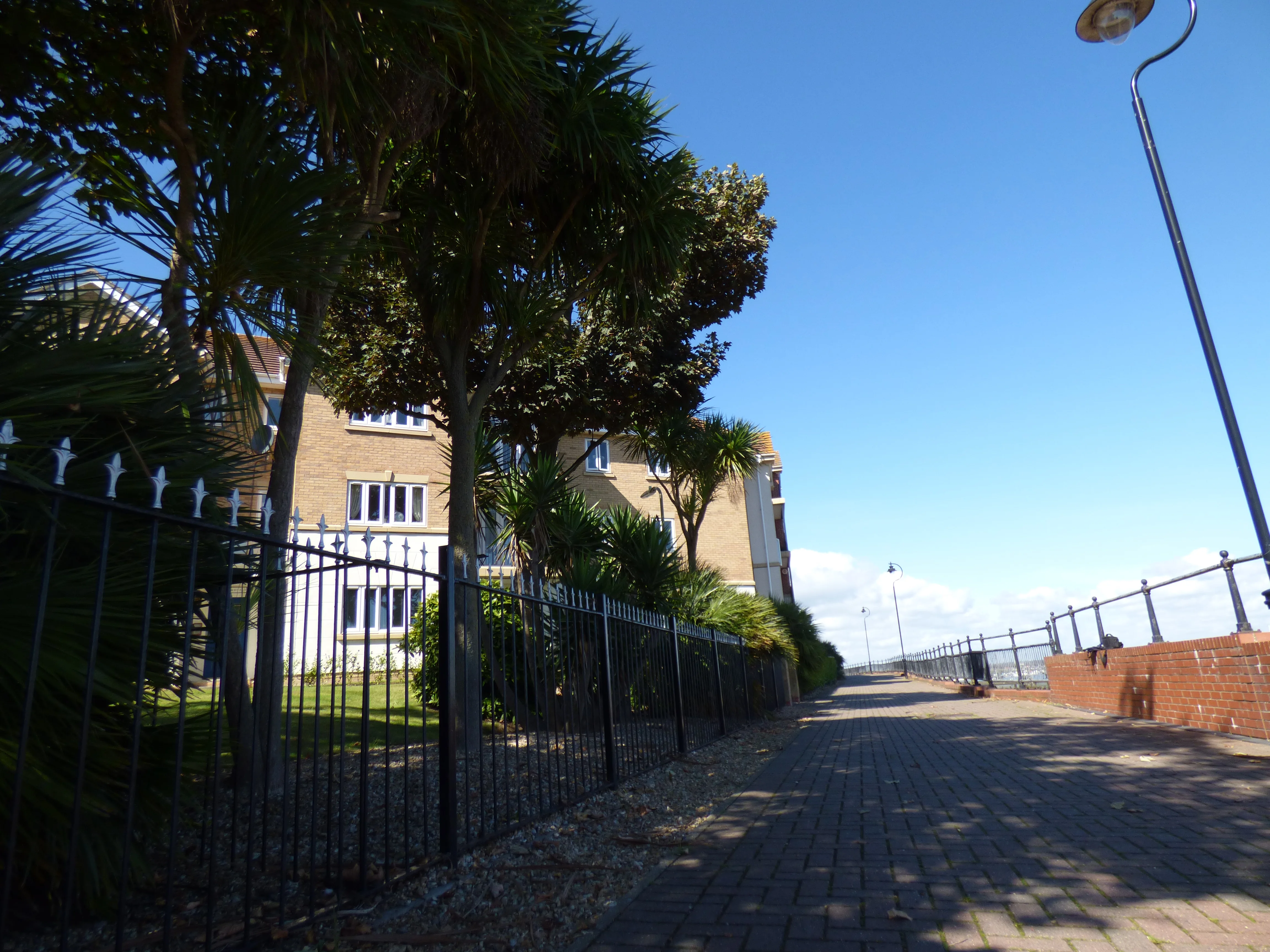 Waterside view